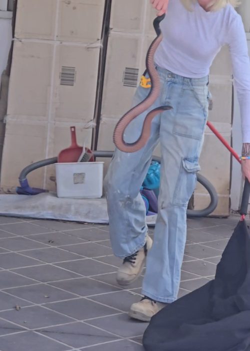 VID_20250917_230656_092